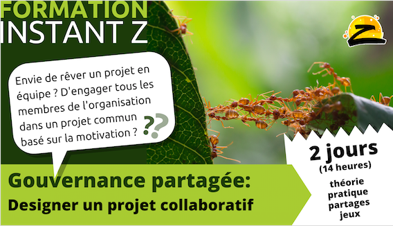 Démarche de projet collaboratif – Dragon Dreaming – Dullin (73)