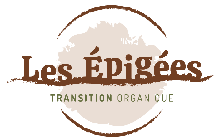 Technicien.ne support et déploiement numérique – CDD – H/F – Chambéry – Savoie (73)