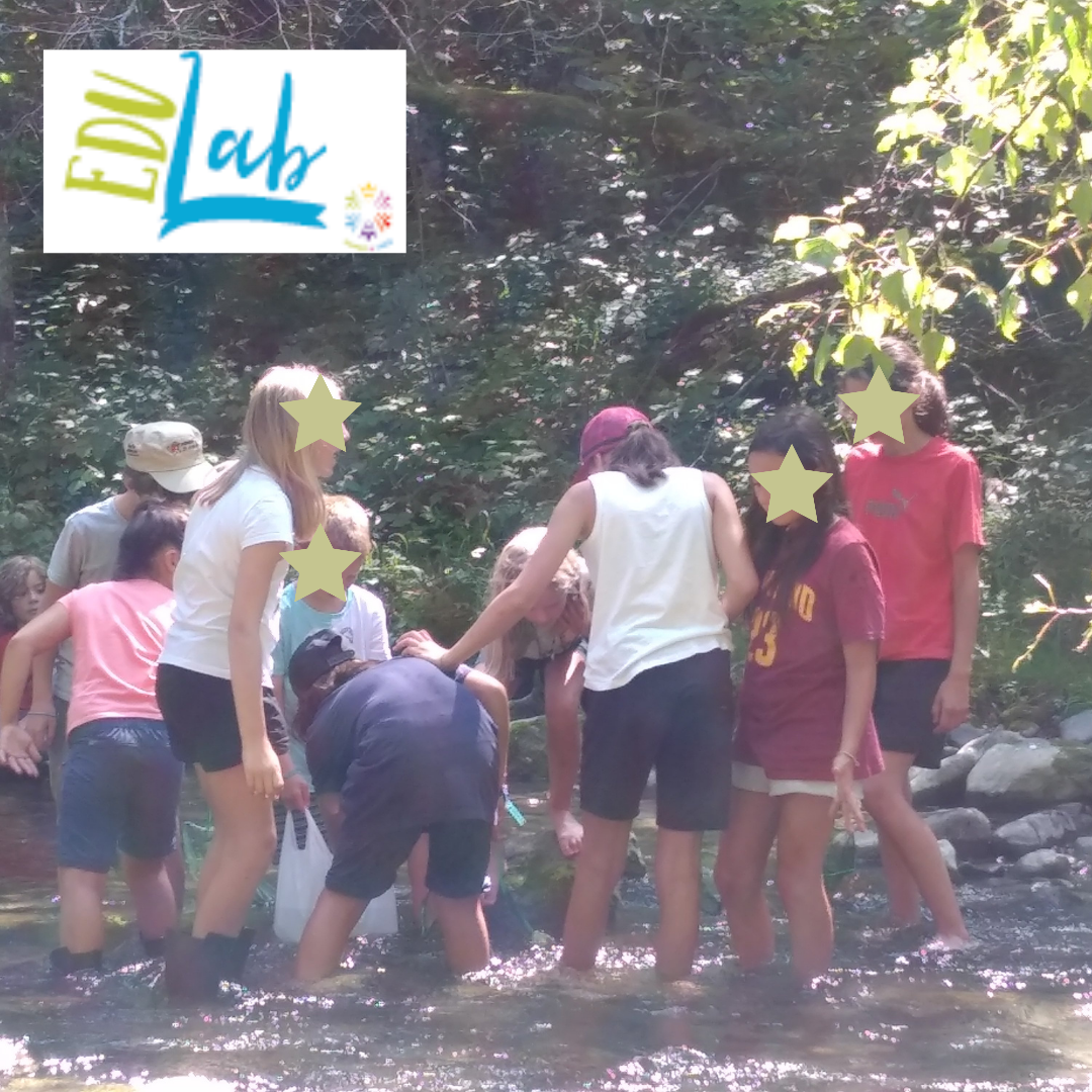 Stage EDULab – Annecy (74)