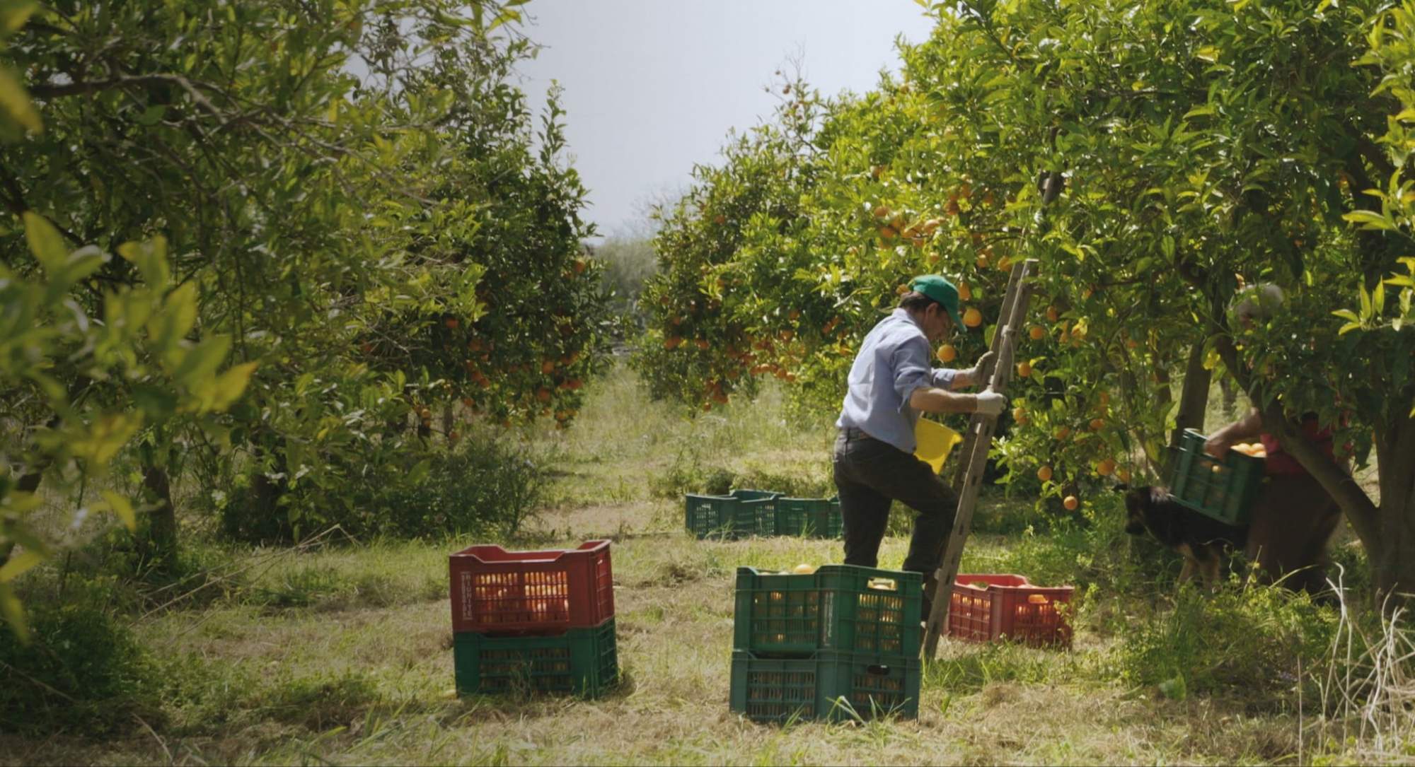 Projection Nul homme n&rsquo;est une île   à l&rsquo;Ecrevis – Annecy (74)