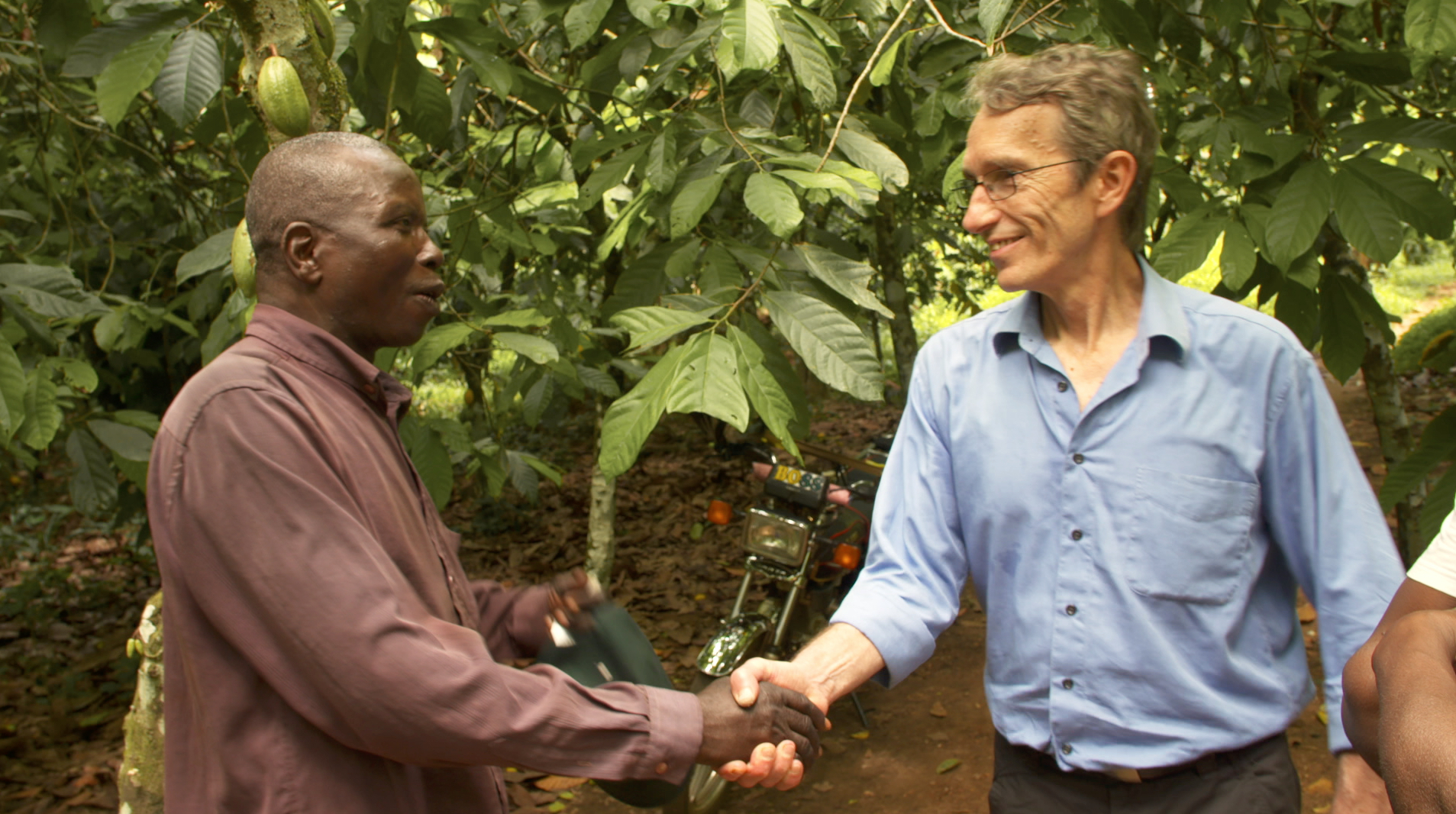 « L’arbre providence » – Chindrieux (73)